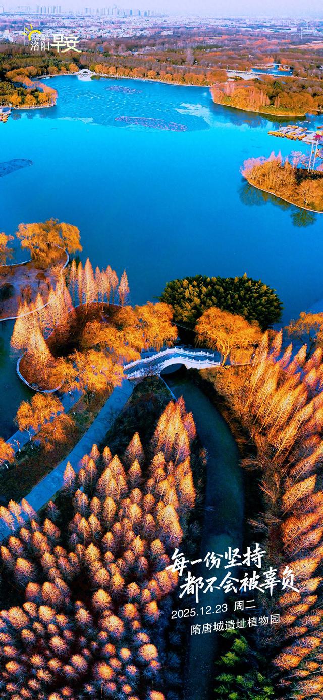 【洛阳·早安】每一份坚持，都不会被辜负