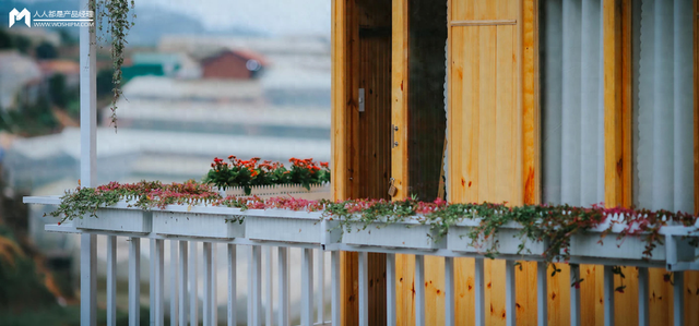 dnf木鸟（木鸟途家美团交战后国庆档）