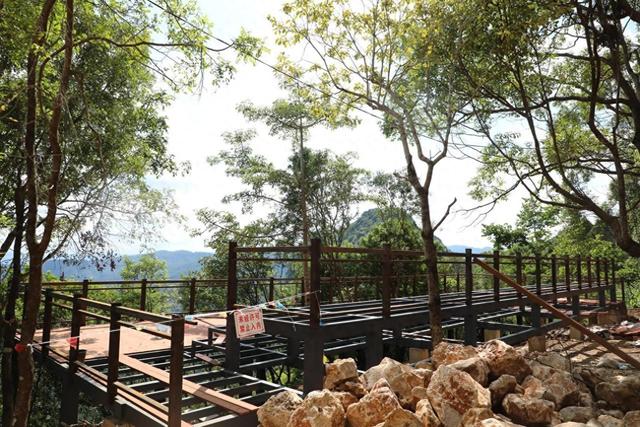 期待！普洱山茶旅融合项目预计2026年元旦前竣工投用