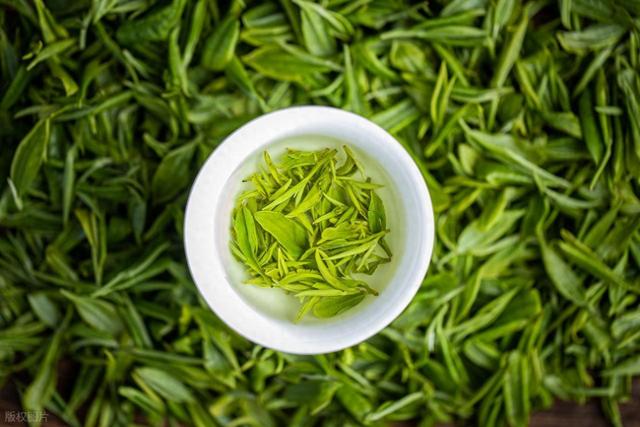 肯特大学研究发现茶叶可在月球土壤中生长：宇航员未来饮食新希望