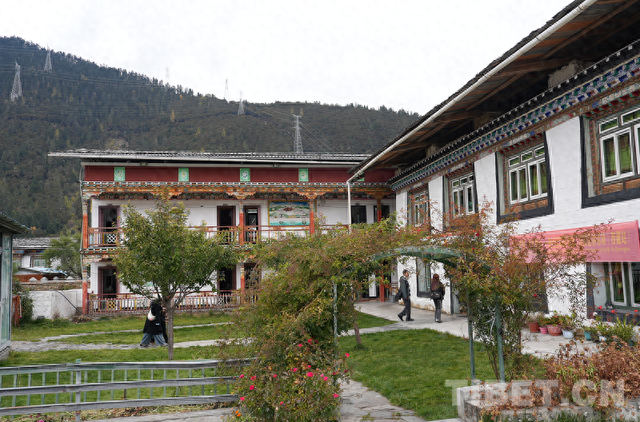 仓决民宿：从通铺小栈到冠军之选，藏家儿女的十六年坚守与蜕变