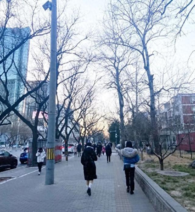 大家注意了，明天开始	，非必要就别出门了！1月8号起双重预警生效