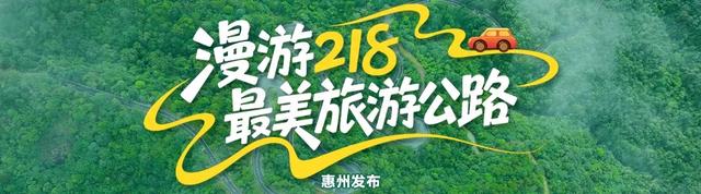 漫游惠州218最美旅游公路丨惠州这里有个“沉浸式雨林景观驿站”