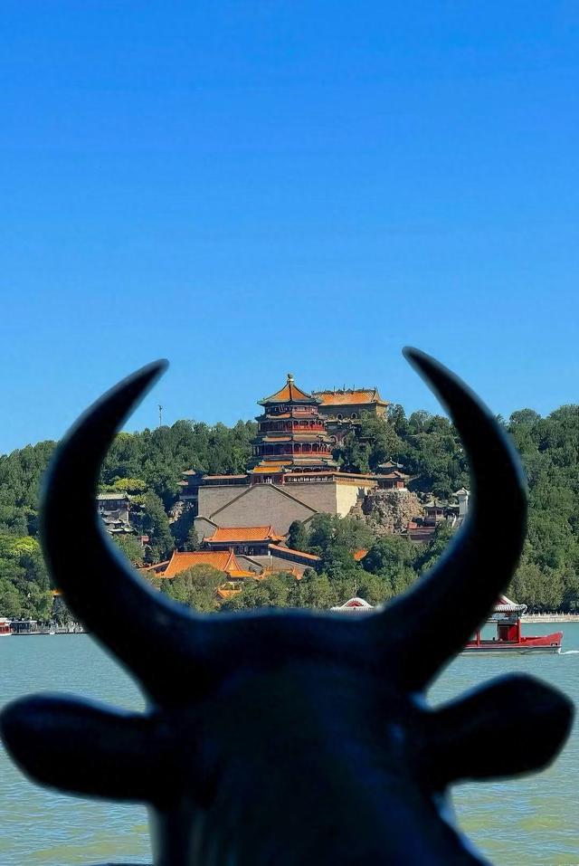 北京旅游避坑指南｜年轻人排队也要吃的蝎王府，这口羊蝎子YYDS！