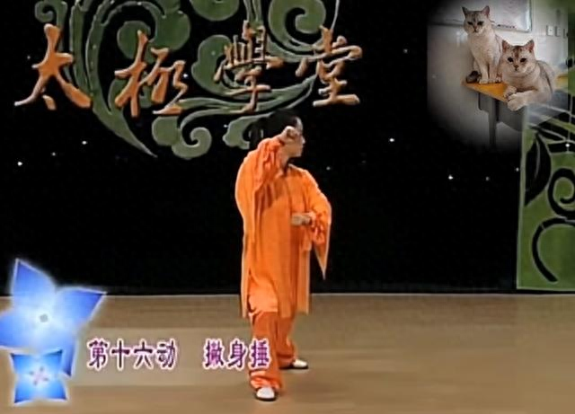 一记左撇身捶，拧出腰胯整劲！太极高手都在练的“闪身”秘诀！