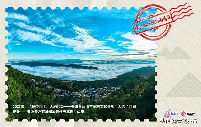 送你一套景迈山