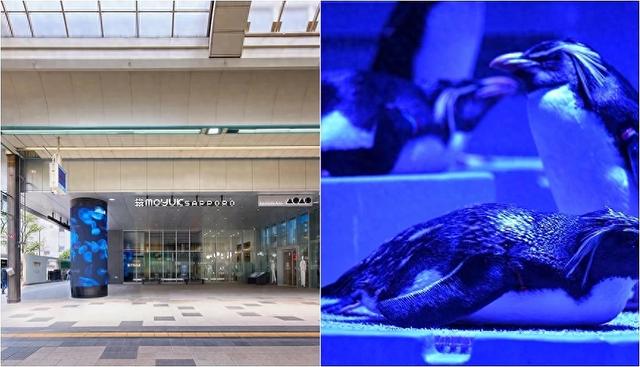 夜游札幌景点推荐「AOAO SAPPORO」水族馆:狸小路地下街直达