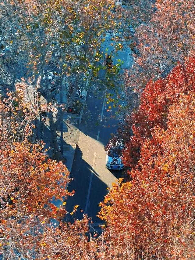 冬日到泰安文化路来一场Citywalk，只走一趟就沦陷