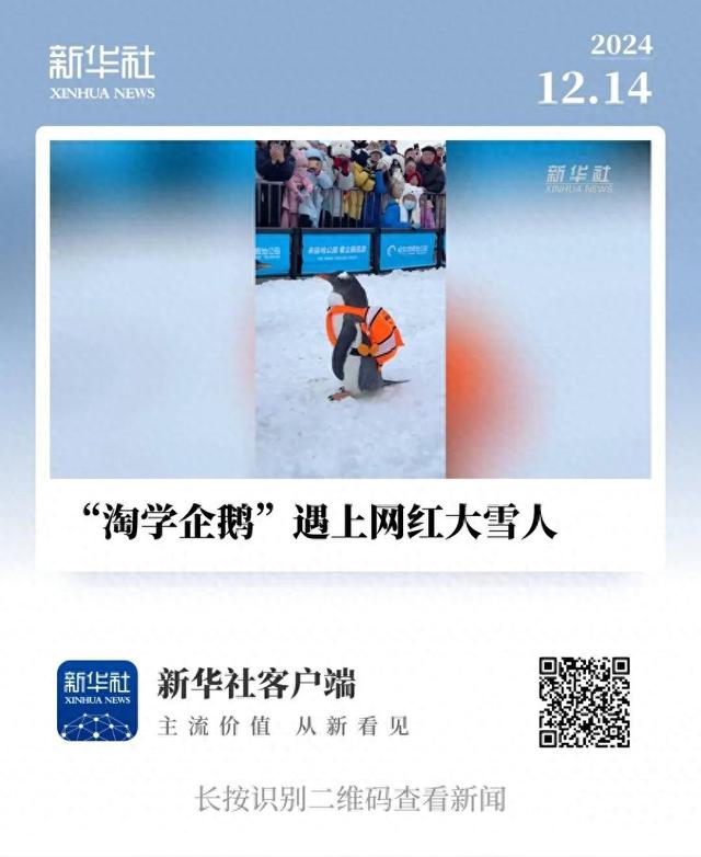 “淘学企鹅”国庆惊喜巡游即将开启，冰城金秋邀您共赏