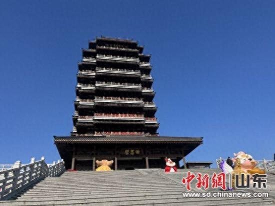 山东淄博以“书店+”探索文旅“长红”密码