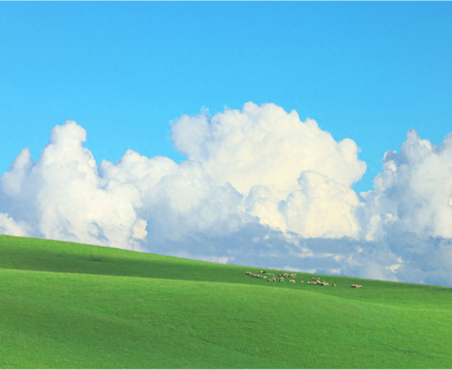 百万粉丝达人点赞：泰州泰美 泰想你来