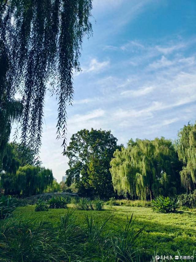 晴朗的秋天，必逛大明湖