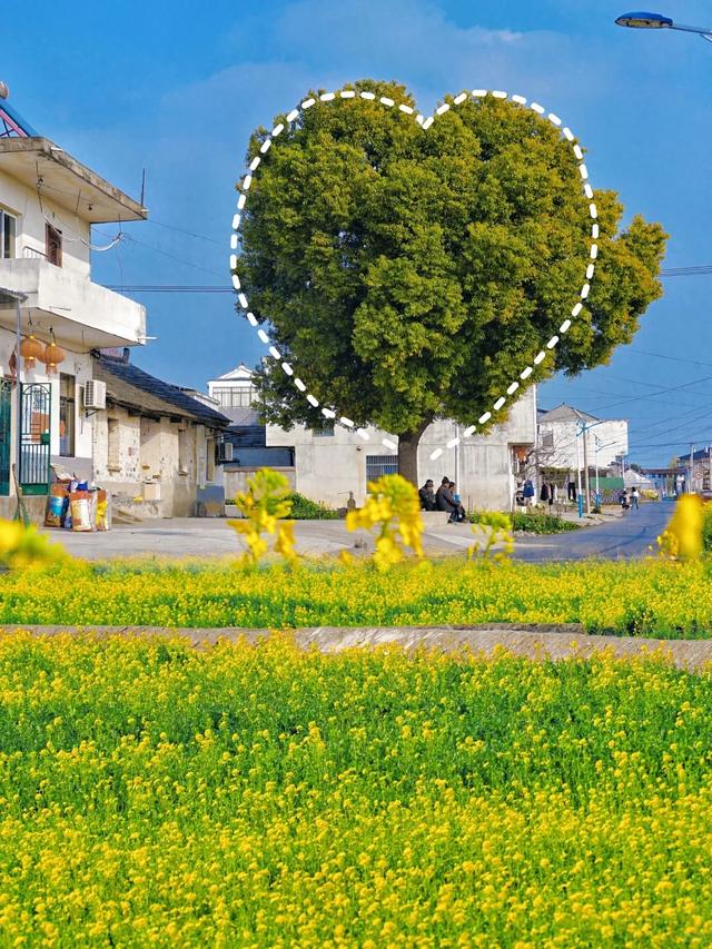 中国最美最赞的10条自驾游路线，你体验过几条？