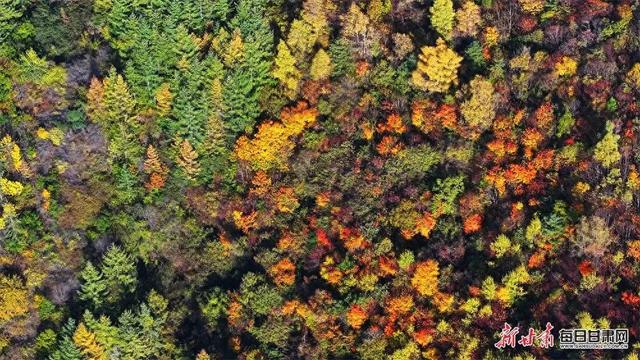 秋漫卧牛山 邂逅武山五彩时光