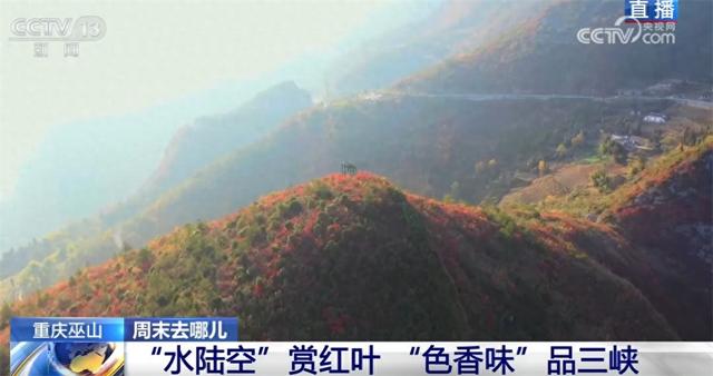 以红叶为“媒”、“跟着课本去旅行”成亮点 场景上新增加文旅消费新体验