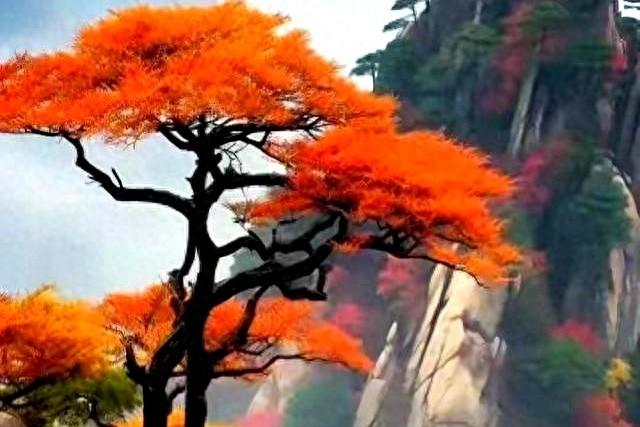 心理学家：出门后反复检查门锁！其实是一种精神异常