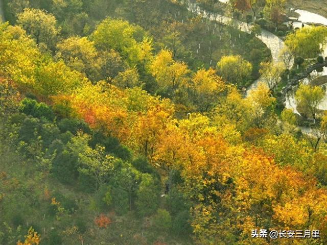 文景公园与文景山公园