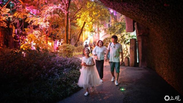 城事｜星光与绿意交织：上海温室花园夜游点亮夏夜生活