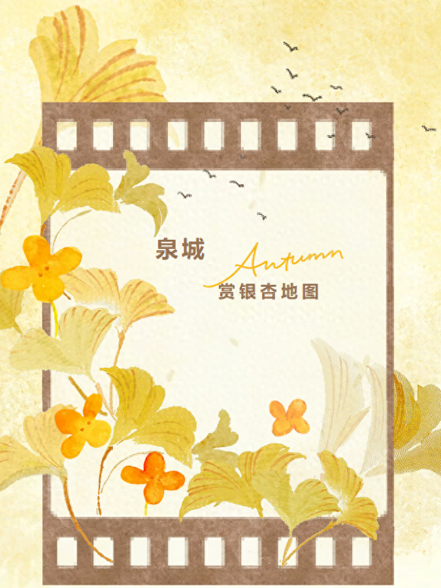 《2025济南赏银杏地图》出炉！错过再等一年