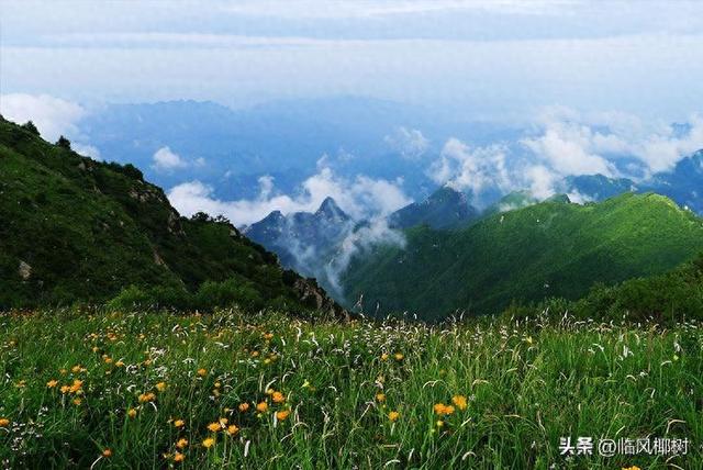 河北阜平八路军兵工厂被美军考察组高度评价：生产很好 威力很大