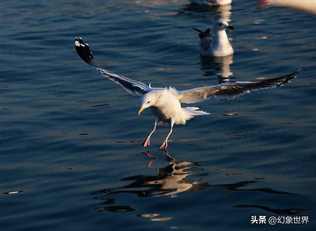 青岛吃喝玩乐全攻略：外地游客必看的"反套路"旅行指南