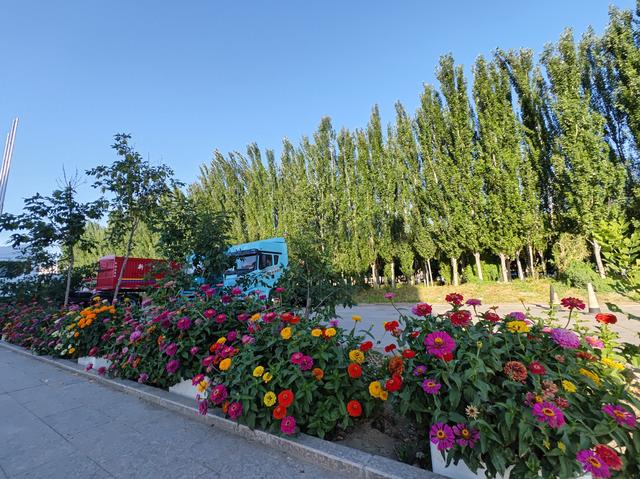 北疆行⑰——逛乌鲁木齐大巴扎