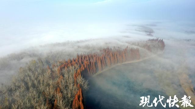 读城｜长三角的“洱海”之旅实现自由，江苏洪泽湖大堤出圈