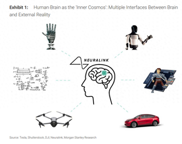 SEO808论坛app（脑机接口人与AI共生）