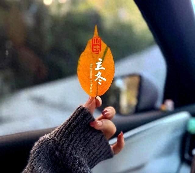 dnf扑克公主套（🧣风已经有了冬天的味道 公主请添衣～立冬快乐文案）