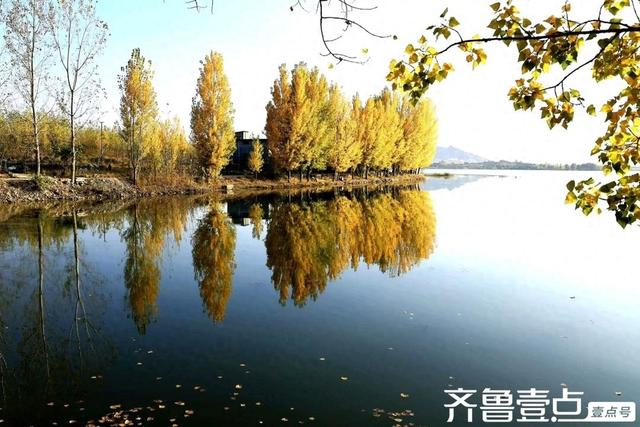 秀山东丨泰安市新泰，‌层林尽染映湖光，初冬绘就多彩画卷
