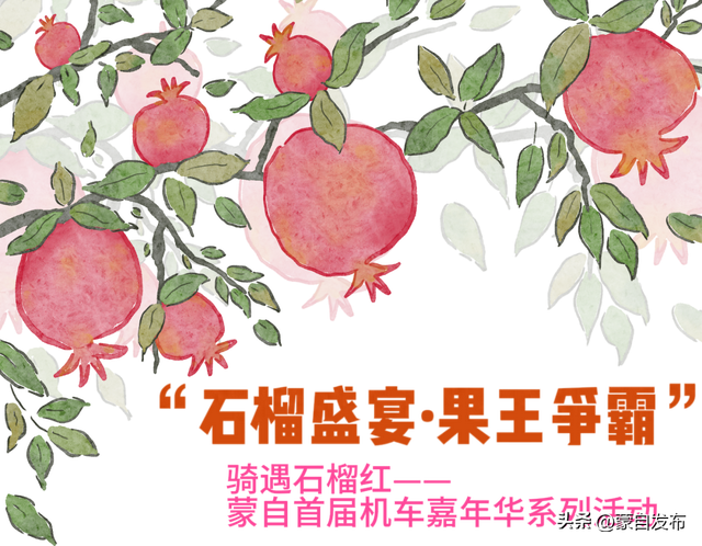 蒙自甜绿籽“石榴王”火热征集，石榴盛宴等你来嗨