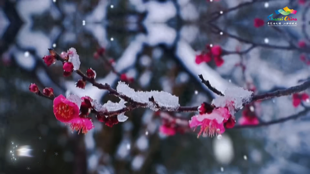 冬日归途，山西是心安的方向