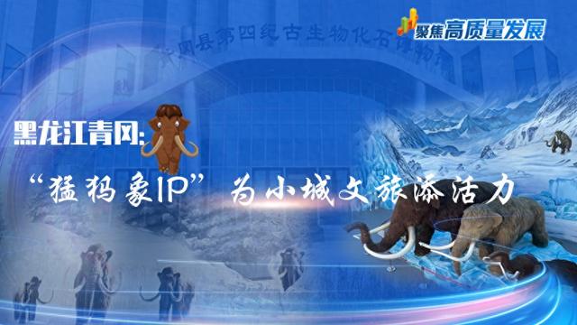聚焦高质量发展丨黑龙江青冈：“猛犸象IP”为小城文旅添活力