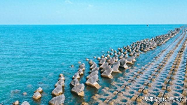 河南人去了东营和滨州，直言不讳：东营人和滨州人气质截然不同！