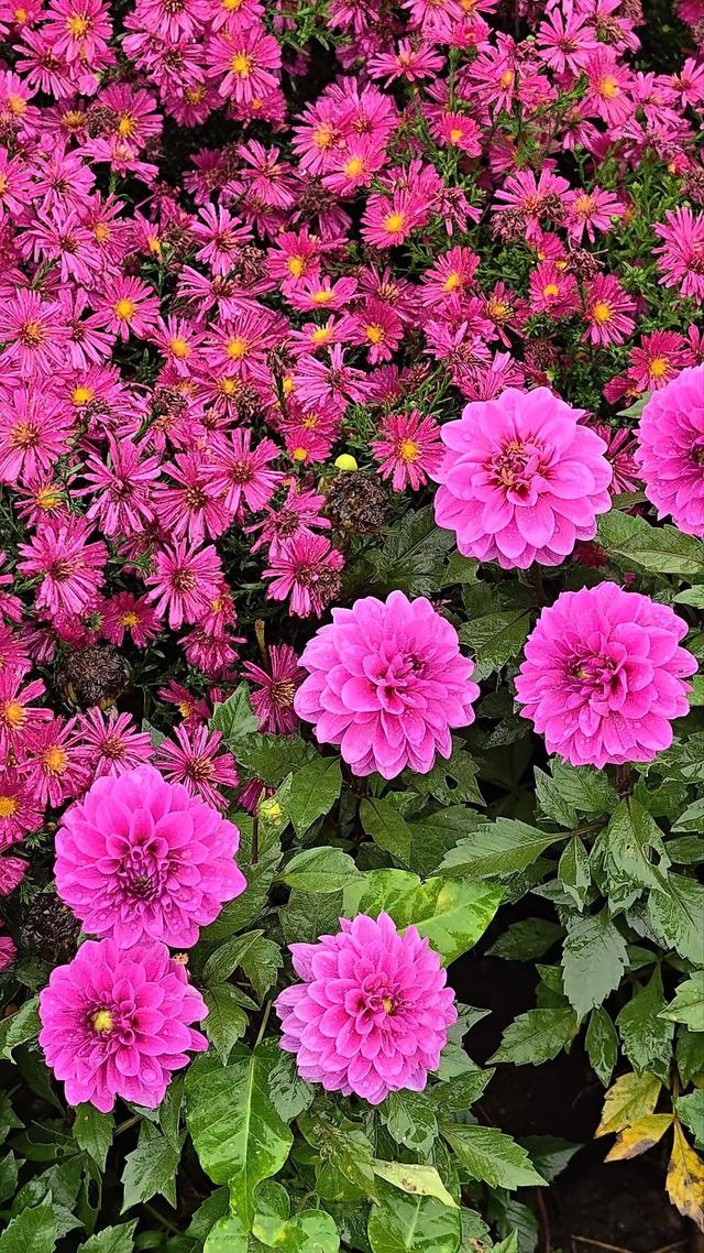 国家对8大扶持产业曝光，普通人不用靠大资本就能蹭上红利！