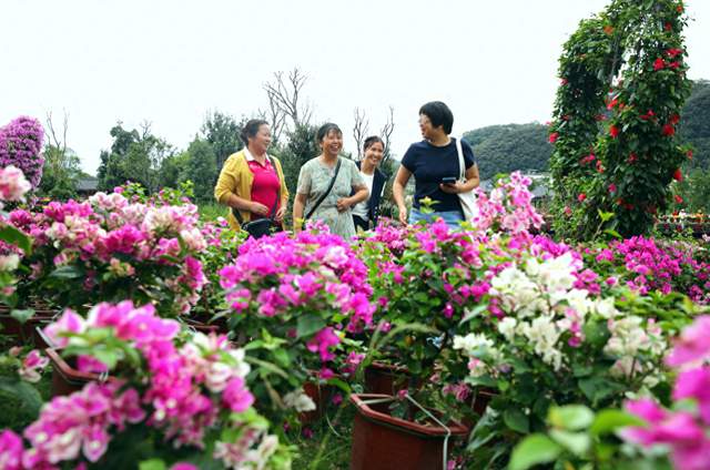 25万游客在长顺“花样”过节 感受秋日浪漫