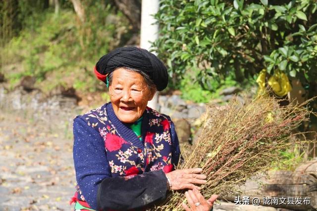 初冬，与白马山寨共赴一场诗意之约