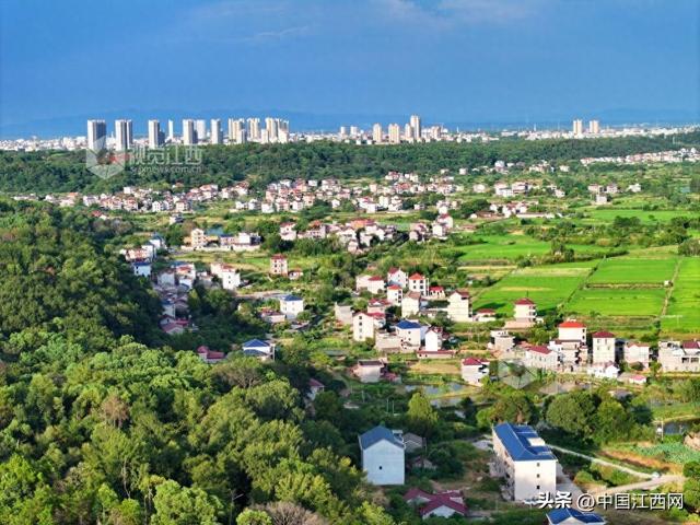 泰和：生态田园风景如画