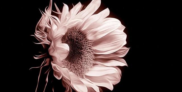 巨蟹座，会有事发生！12月27日~12月31日，此后五天！