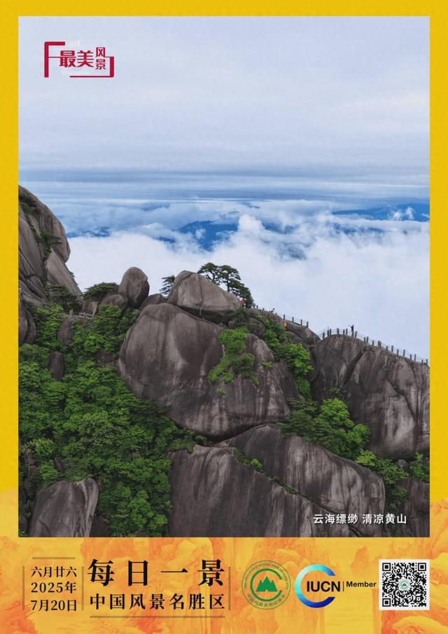 每日一景 | 云海缥缈 清凉黄山