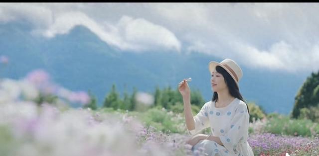 江南小诗：想去大理吹吹风