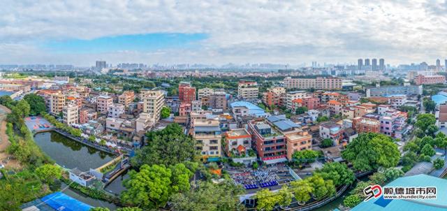 绿美Buff叠满！乐从“趁花墟”2.0有“料”