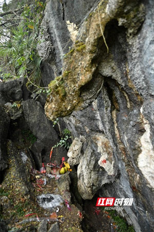 文化永州丨江永奇特“老鼠节”：跨越千年的感恩传承