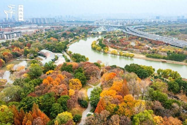 秦淮citywalk｜七桥瓮湿地公园