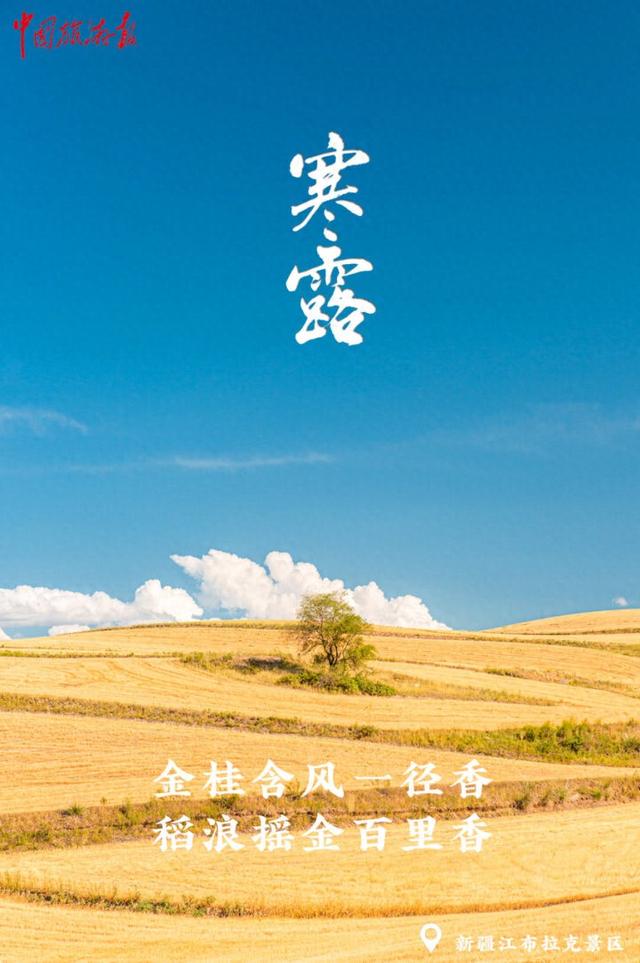 寒露｜假期收官 秋色正酣 奔赴下一场诗与远方