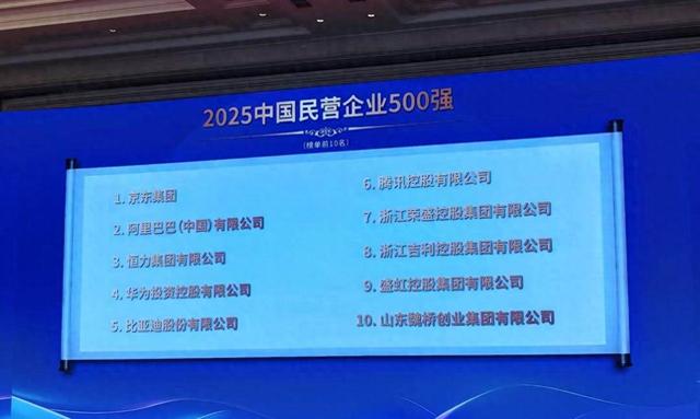 “2025民营企业500强”出炉：腾讯、荣盛控股、比亚迪为纳税三强