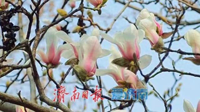 走进公园 一起遇见春天