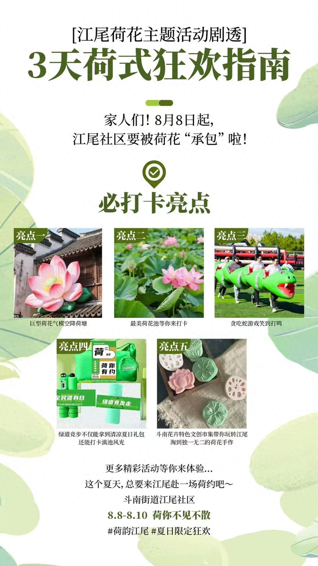 样样都“荷”你心意！斗南街道江尾社区这份夏日限定浪漫等你解锁
