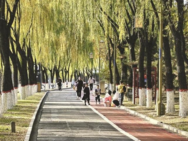 孝义市胜溪湖森林公园