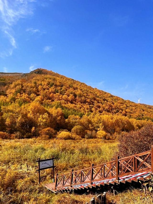 层林尽染，赴一场七彩森林的秋日之约